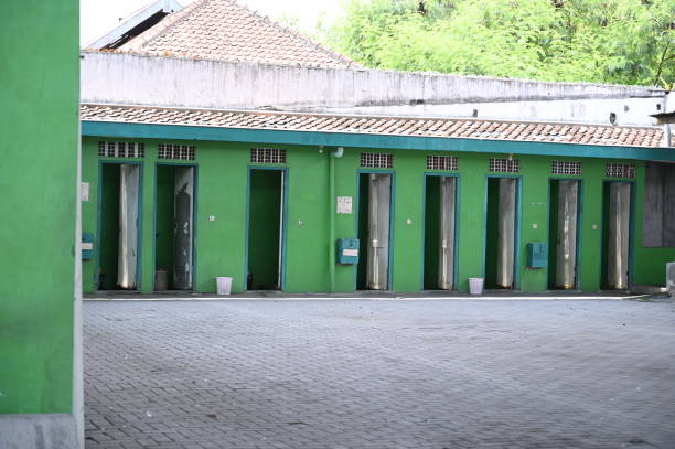Affordable portable toilet rental in Mesa Del Caballo, AZ